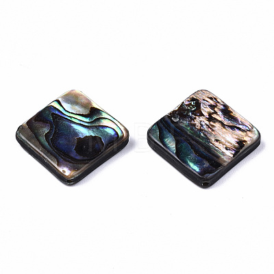 Natural Abalone Shell/Paua Shell Beads SSHEL-T014-13B-1