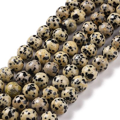 Natural Dalmatian Jasper Beads Strands G-Q462-10mm-30-1