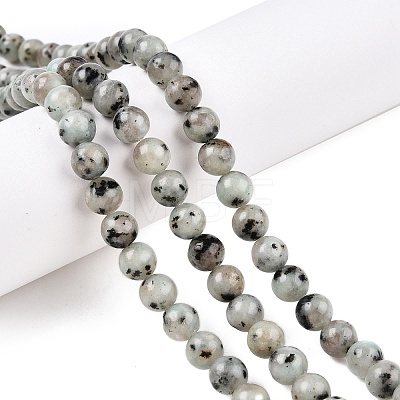 Natural Sesame Jasper/Kiwi Jasper Bead Strands G-R345-8mm-36-1