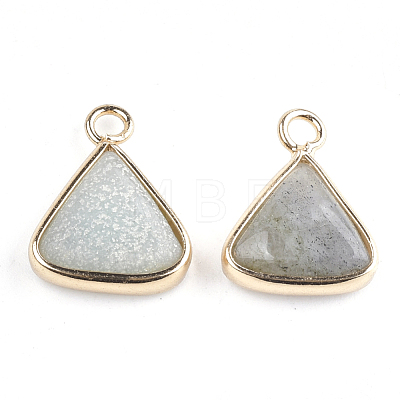 Natural Labradorite Pendants G-S344-10C-1