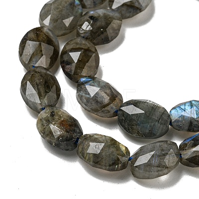 Natural Labradorite Beads Strands G-P544-D06-01-1