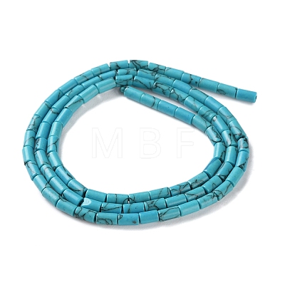 Dyed Synthetic Turquoise Beads Strands G-B124-A03-01-1