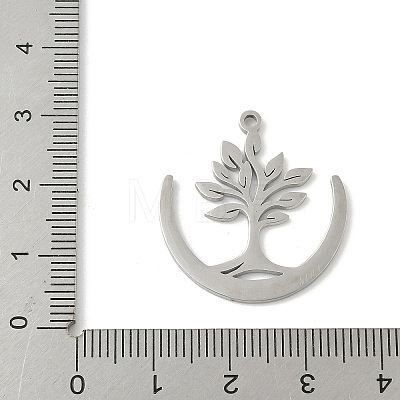 304 Stainless Steel Pendants LS-STAS-V016-21P-1