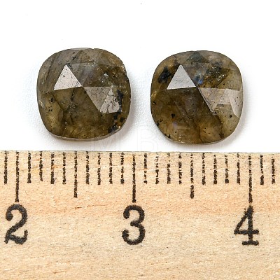 Natural Labradorite Cabochons G-M431-01L-1