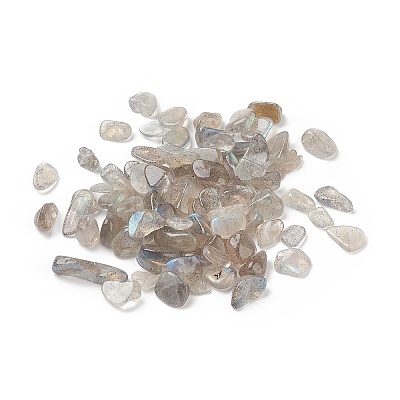 Natural Labradorite Beads G-I304-07-1