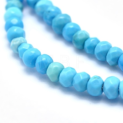 Dyed & Heated Natural Howlite Beads Strands X-G-G768-03-1