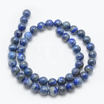 Natural Lapis Lazuli Beads Strands G-E489-01-10mm-1