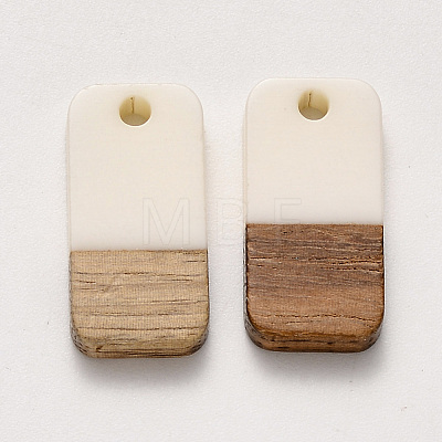 Resin & Walnut Wood Pendants RESI-S384-008A-A07-1