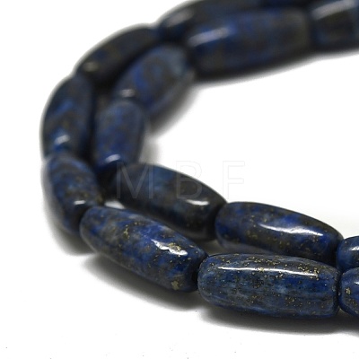 Natural Lapis Lazuli Beads Strands G-K311-11B-03-1