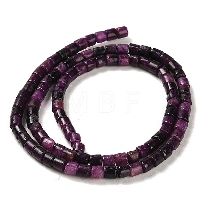 Natural Lepidolite Beads Strands G-F765-F01-01-1