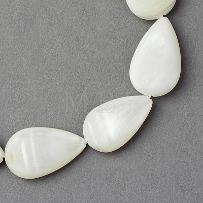 Natural Sea Shell Beads Strands X-SSHEL-Q296-43-1