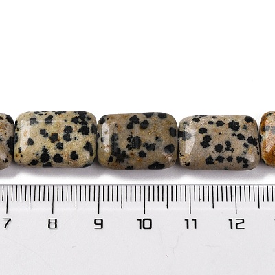 Natural Dalmatian Jasper Beads Strands G-T047-B16-01-1