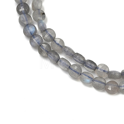 Natural Labradorite Beads Strands G-R462-008-01-1