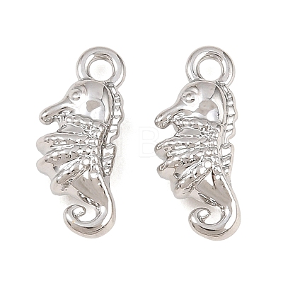 Alloy Charms AL-CBA83D5-05P-1