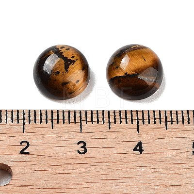 Natural Tiger Eye Cabochons G-G788-C-14-1