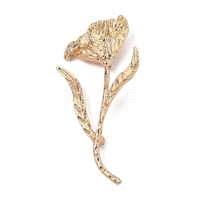 Alloy Brooch Pins AL-CBAF606-03G-1
