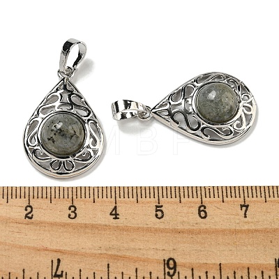 Natural Labradorite Pendants G-Q158-05P-30-1