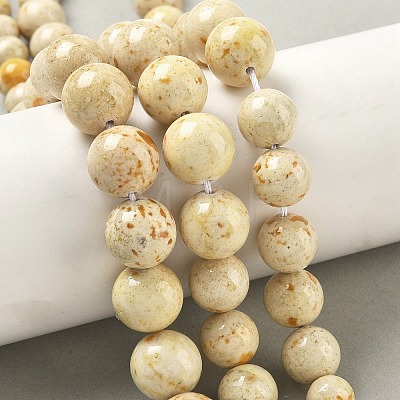 Natural Fossil Graduated Beads Strands G-F830-A03-01A-1
