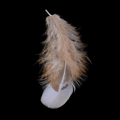 Chicken Feather Costume Accessories FIND-Q046-02-1