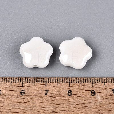 Handmade Porcelain Beads PORC-N007-20-B01-A01-1