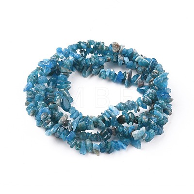 Natural Apatite Beads Strands G-F666-01B-02-1