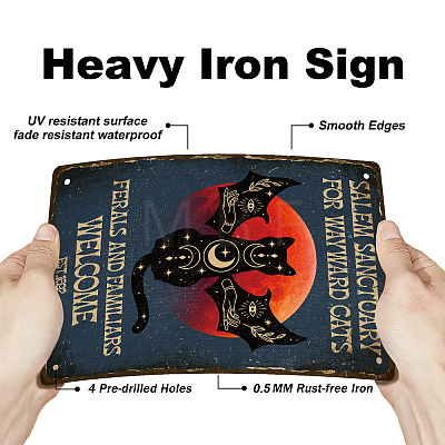 Vintage Metal Tin Sign AJEW-WH0189-146-1