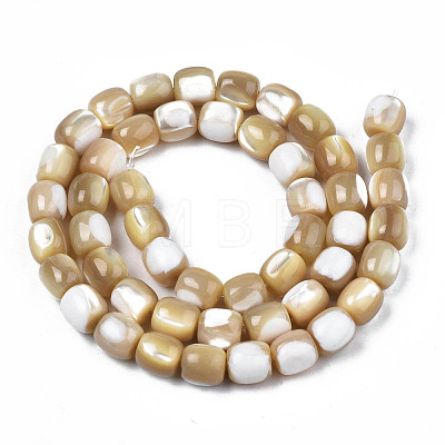 Natural Trochid Shell/Trochus Beads Strands SSHEL-N027-130B-02-1