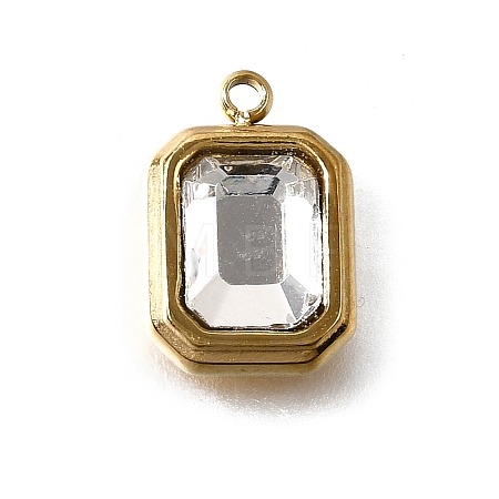 304 Stainless Steel Charms STAS-F318-13G-1