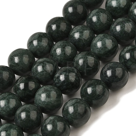 Natural Black Jade Beads Strands G-H067-A03-10MM-1