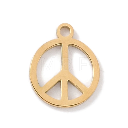 304 Stainless Steel Charms STAS-K286-01B-G-1