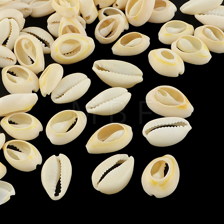 Natural Mixed Cowrie Shell Beads X-BSHE-S053-01-1
