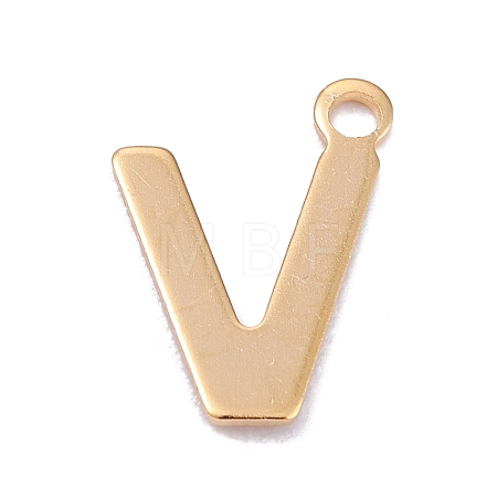 201 Stainless Steel Charms STAS-C021-06G-V-1