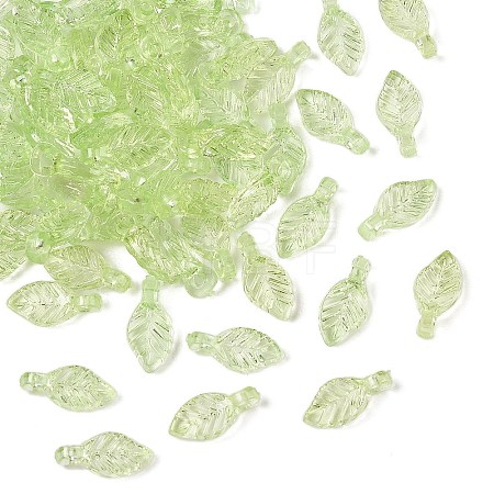 Transparent Acrylic Charms TACR-F009-11B-1