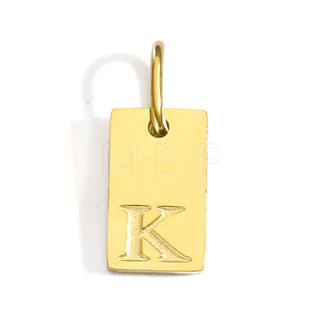304 Stainless Steel Pendants STAS-Z143-01G-K-1