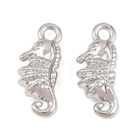 Alloy Charms AL-CBA83D5-05P-1