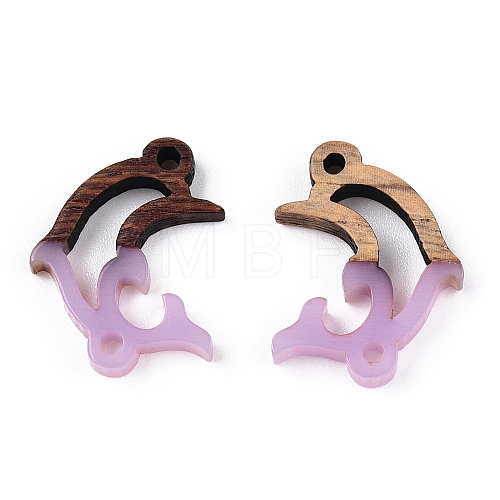 Opaque Resin & Walnut Wood Connector Charms RESI-N039-46G-1
