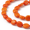 Natural Turpuoise Beads Strands G-P494-M-4