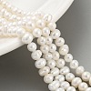 Natural Cultured Freshwater Pearl Beads Strands PEAR-C003-10C-2