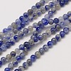 Natural Gemstone Blue Spot Jasper Round Beads Strands G-A130-2mm-21-1