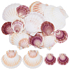2 Styles Natural Shell SSHEL-WR0001-06A-1
