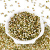 Drawbench Style Glass Seed Beads SEED-Q039-01J-2
