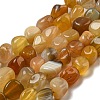 Natural Botswana Agate Beads Strands G-D081-A10-02-1
