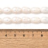 Natural Cultured Freshwater Pearl Beads Strands PEAR-I007-01F-01A-5