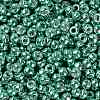 TOHO Round Seed Beads SEED-JPTR08-0561-2