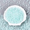 Frosted Glass Seed Beads SEED-N012-01C-2