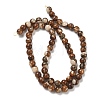 Natural Trochus Shell Beads Strands SH-CBAFEDD-02A-4