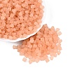 FGB Frosted Transparent Glass Seed Beads SEED-N013-03A-04-1
