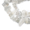 Natural White Moonstone Chip Beads Strands G-M205-68A-2