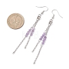 Round 304 Stainless Steel Natural Amethyst Dangle Earrings EJEW-JE06783-01-4