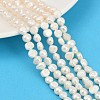 Natural Cultured Freshwater Pearl Beads Strands PEAR-P064-19G-04A-1